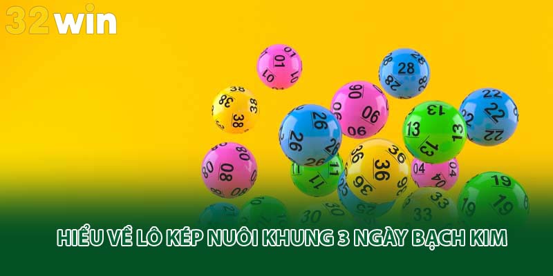 Hiểu về lô kép nuôi khung 3 ngày bạch kim