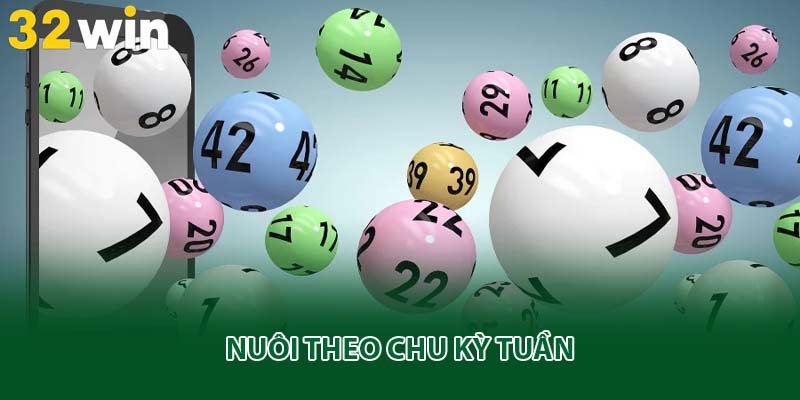 Nuôi theo chu kỳ tuần