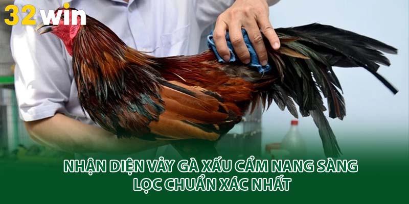 vảy gà xấu